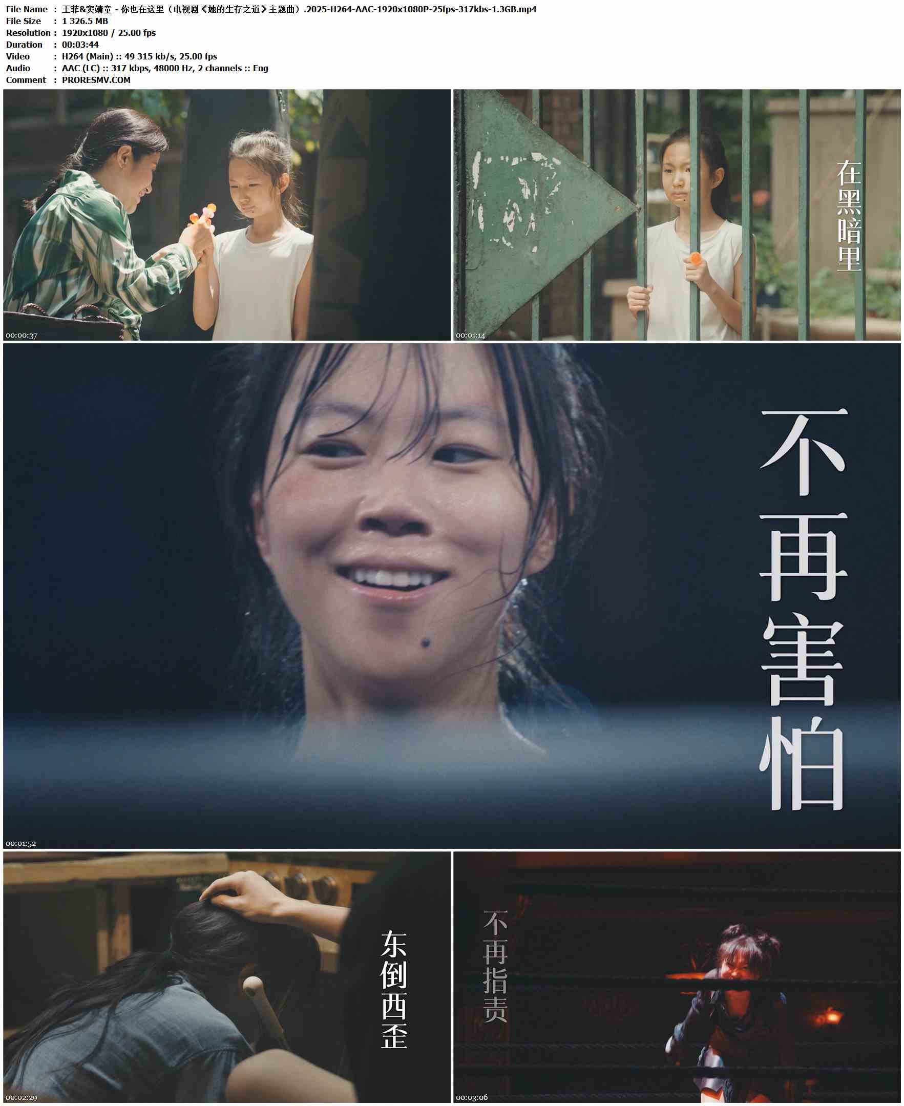 王菲&窦靖童 - 你也在这里（电视剧《她的生存之道》主题曲）.2025-H264-AAC-1920x1080P-25fps-317kbs-1.3GB官方MV_高清MV
